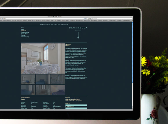 Blustella Rentals. Website & Identity By El Studio